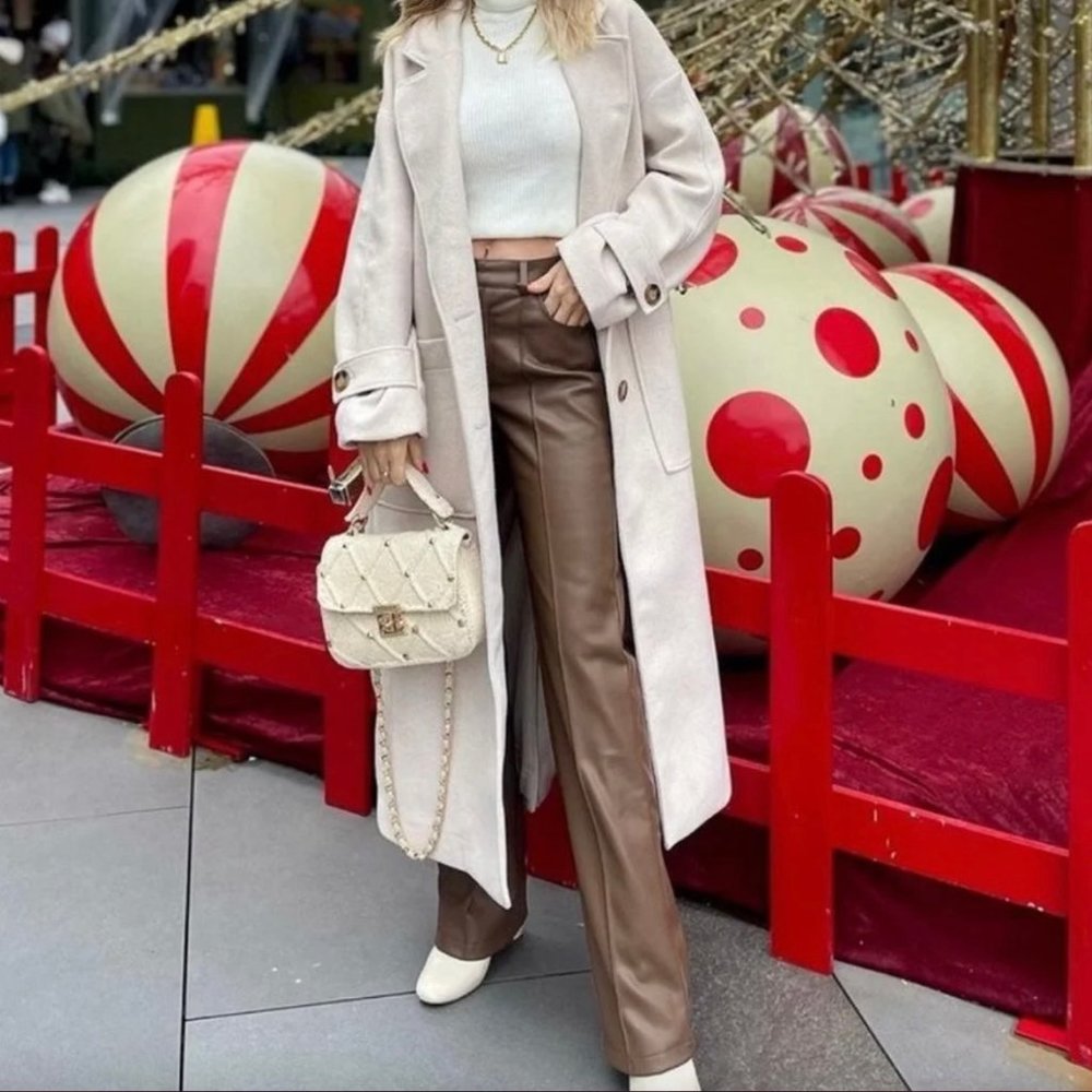 Zara Faux Leather Francoise Pants